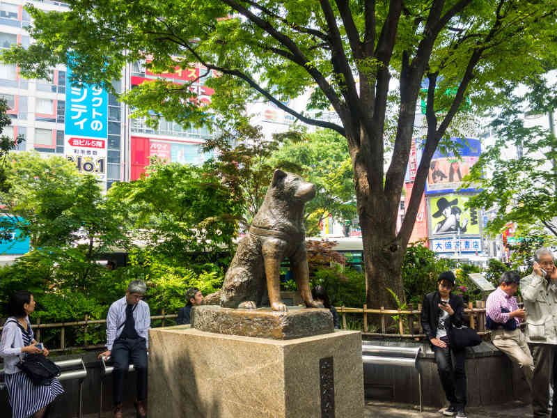 忠犬ハチ公広場・渋谷交差点