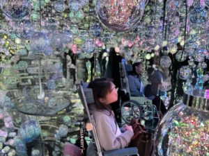 Accessible Activities